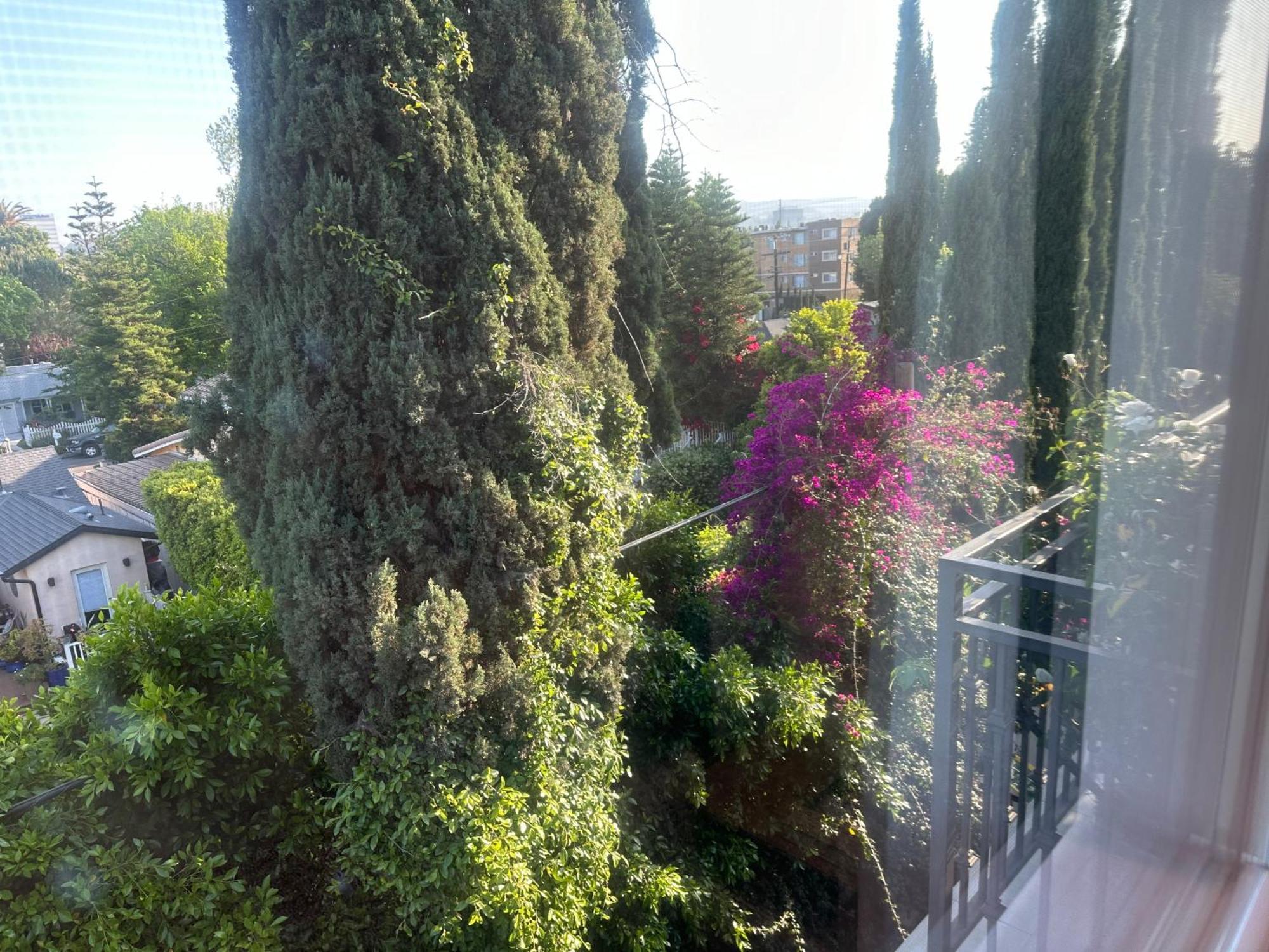 Appartement Elegant - Location